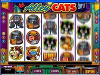 Alley Cats Video slot