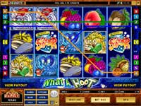 What is Hot i- Is a fun 9 Payline slot machine