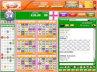 Bingo Gringo Chat Room