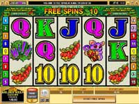 Bonus Feature Slot - Free Spins